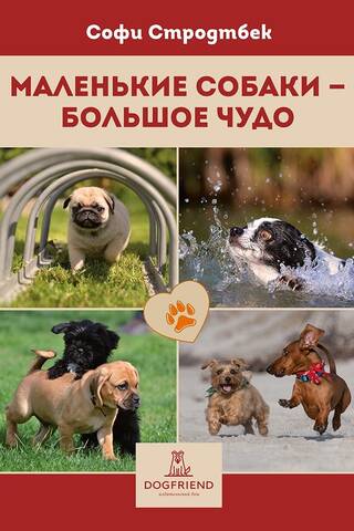Маленькие собаки – большое чудо