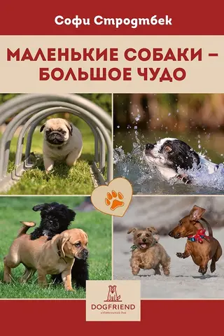 Маленькие собаки – большое чудо