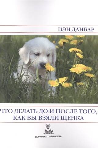 Что делать до и после того, как вы взяли щенка