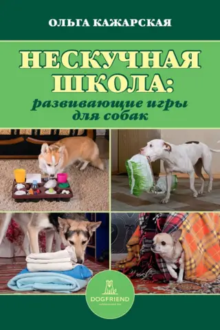 Fun School: Educational Games for Dogs