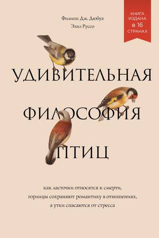 Удивительная философия птиц. Как ласточки относятся к смерти, горлицы сохраняют романтику в отношениях, а утки спасаются от стресса