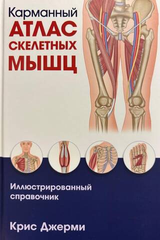 Карманный атлас скелетных мышц: Иллюстрированный справочник