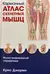 Карманный атлас скелетных мышц: Иллюстрированный справочник