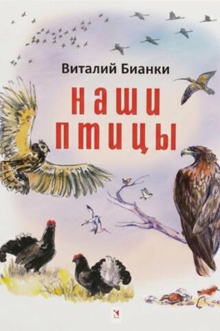 Our birds