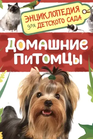 Pets: An Encyclopedia for Kindergarten