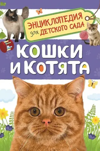 Cats and Kittens: An Encyclopedia for Kindergarten