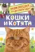 Кошки и котята. Энциклопедия для детского сада