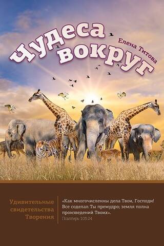 Чудеса вокруг
