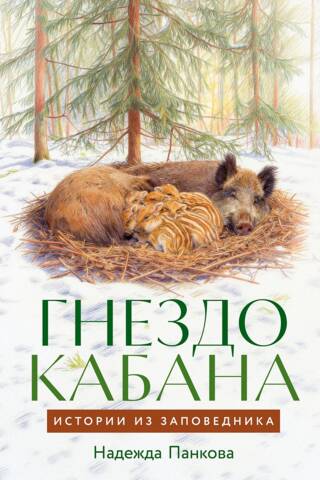Гнездо кабана: Истории из заповедника