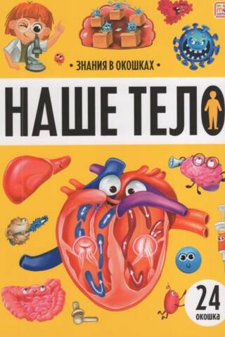 Наше тело