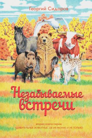 Незабываемые встречи