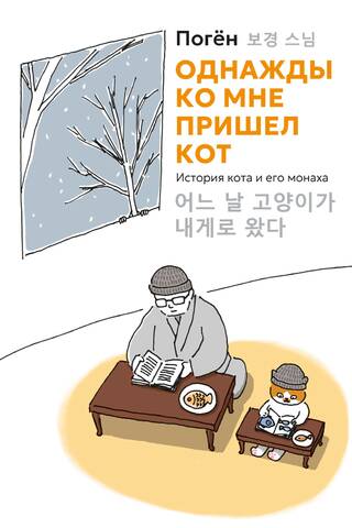 Однажды ко мне пришел кот