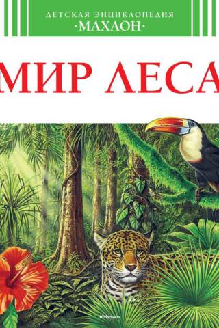 Мир леса
