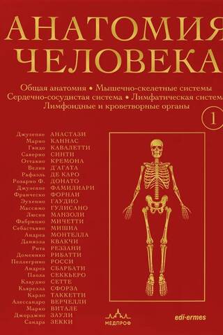 Анатомия человека. Эксклюзивное издание с 50-летней историей. Костно-мышечная и сердечно-сосудистая системы. Том 1