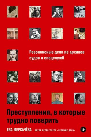 Преступления, в которые трудно поверить. Резонансные дела из архивов судов и спецслужб