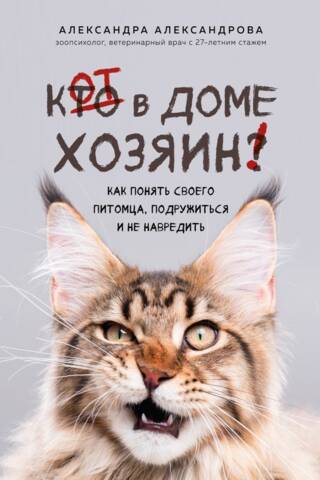 Кот в доме хозяин! Как понять своего питомца, подружиться и не навредить