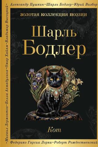 Кот