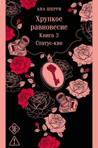 Хрупкое равновесие. Книга 3. Статус-кво