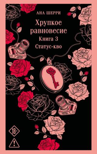 Хрупкое равновесие. Книга 3. Статус-кво
