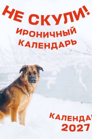 Не скули. Ироничный календарь настенный на 2027 год