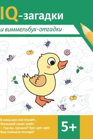 IQ mīklas un Vimmelbuha atbildes: 5+