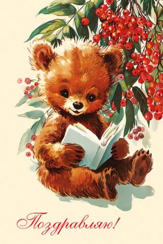 Открытка. Поздравляю! Медвежонок с книгой