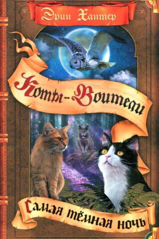 Ēnu vīzija, 4. grāmata: Tumšākā nakts