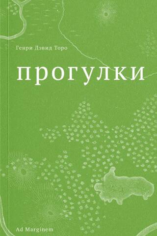 Прогулки