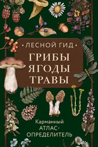 Лесной гид: грибы, ягоды, травы. Карманный атлас-определитель