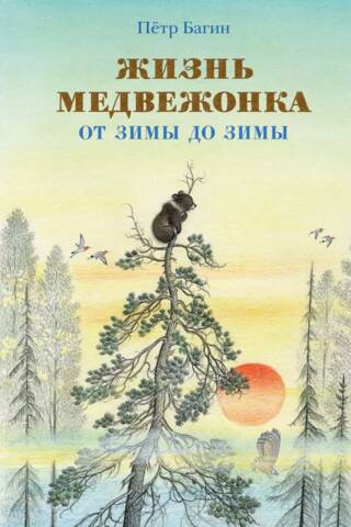 Жизнь медвежонка от зимы до зимы