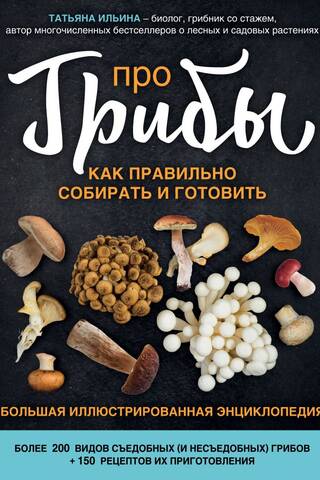 Про грибы. Как правильно собирать и готовить
