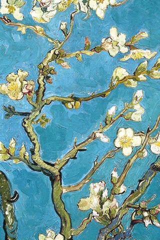 Grāmatzīme ar gumiju. Van Gogs. Mandeļu ziedi