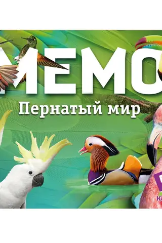 Мемо «Пернатый мир»