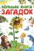 Большая книга загадок