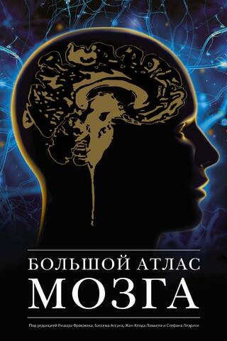 Большой атлас мозга