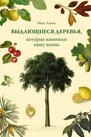 Выдающиеся деревья, которые изменили нашу жизнь