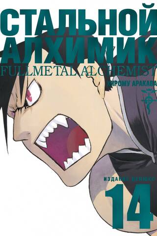 Fullmetal Alchemist: Book 14