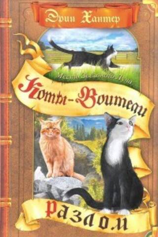 Месть Звездного Луча. Книга 1. Разлом