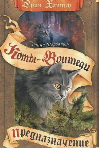 Тайна Щербатой. Книга 1. Предназначение
