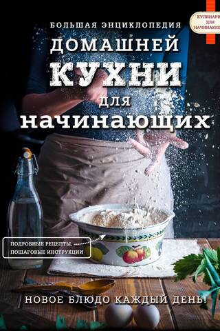 Большая энциклопедия домашней кухни для начинающих