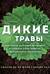 Дикие травы: как найти целебные продукты и создать собственные натуральные лекарства