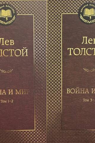 Война и мир. В 2 томах