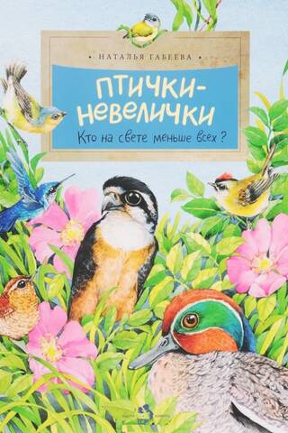 Little birds. Who is the smallest in the world?