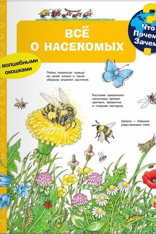 What? Why? Why? All About Insects
