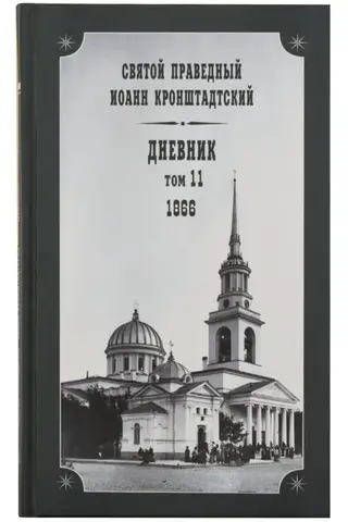 Дневник. Том 11. 1866