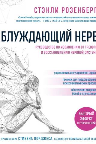 The Vagus Nerve: A Guide to Relieving Anxiety and Restoring Your Nervous System