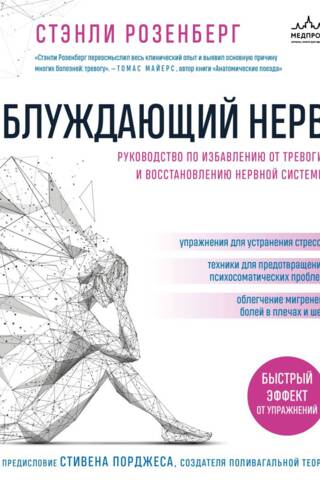 The Vagus Nerve: A Guide to Relieving Anxiety and Restoring Your Nervous System