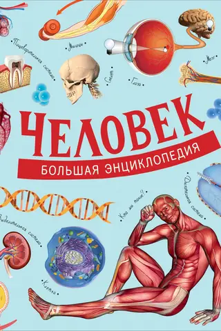 Человек. Большая энциклопедия
