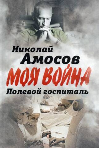 Полевой госпиталь. Записки военного хирурга