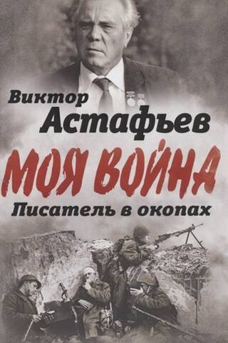 В окопах. Война глазами солдата